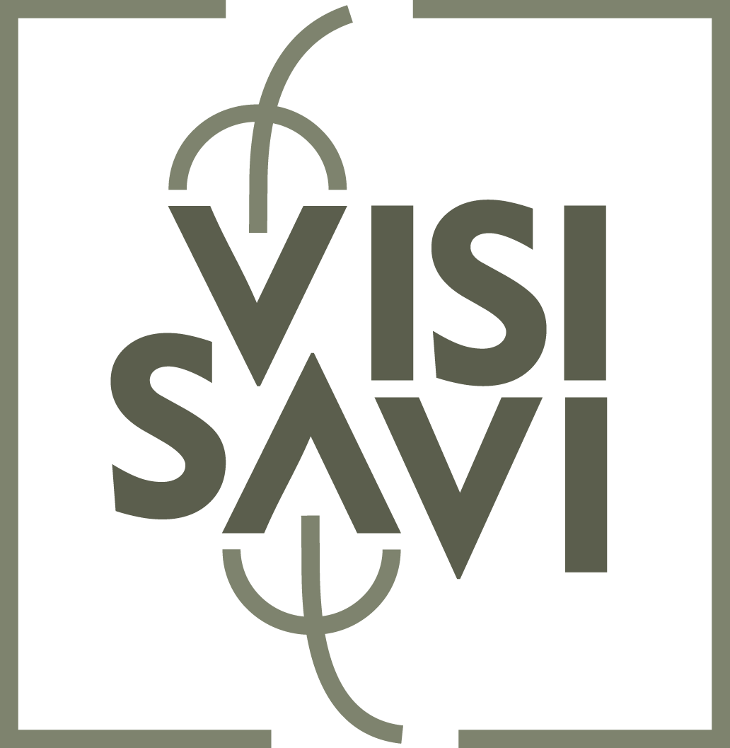 VISI SAVI